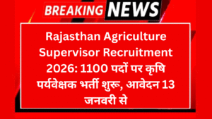 Rajasthan LDC Bharti 2026 10644 पदों पर 12वीं पास भर्ती शुरू CET वालों के लिए सुनहरा मौका 1